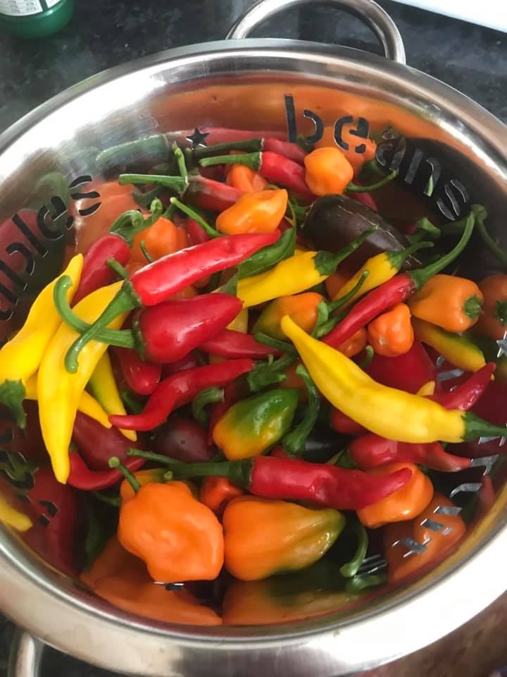 Ring of Fire - Chilli Jam